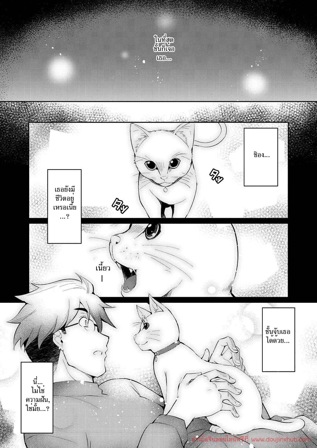 ดอกไม้ของชิอง