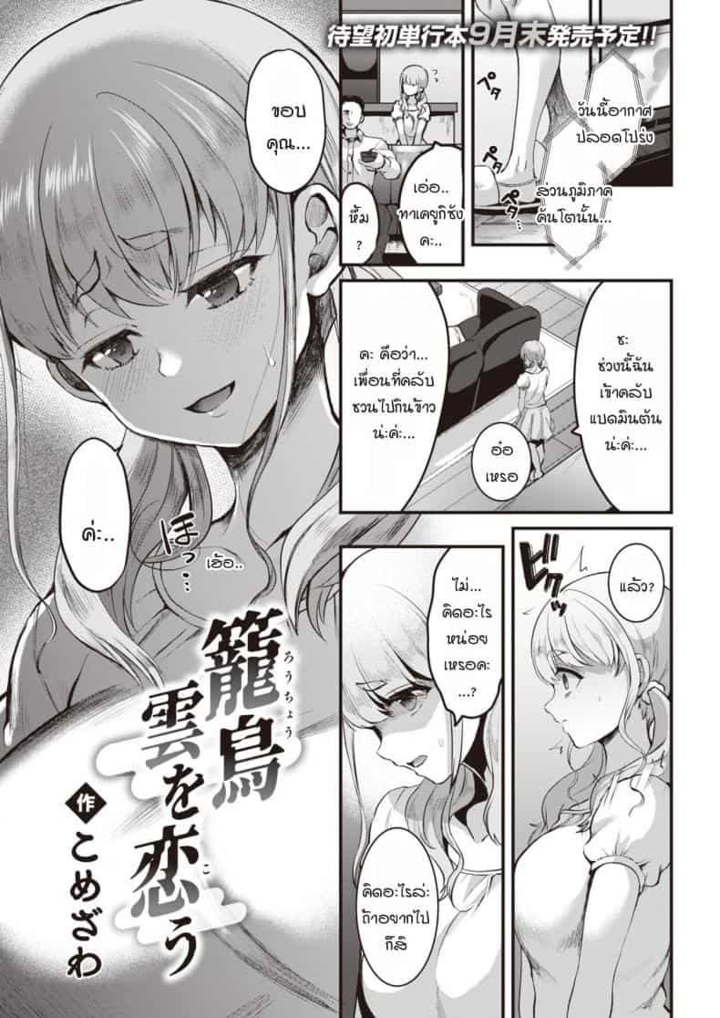 นกน้อยหลุดกรง มาพบรักกลางกลุ่มเมฆ