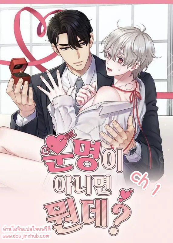 โชคชะตาหรือป่าวน๊า 1