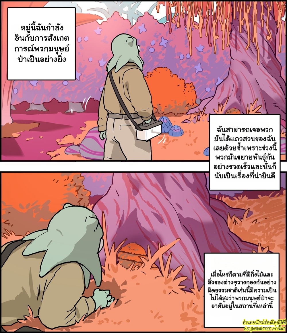 ผู้สังเกตการณ์